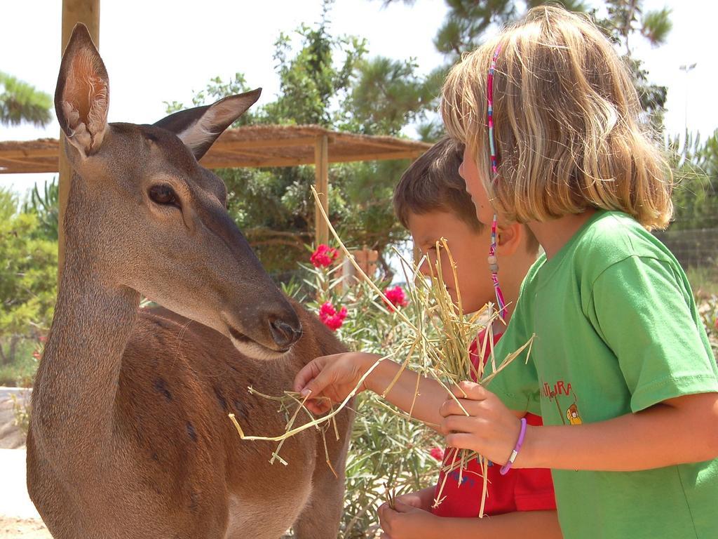 Magic Natura Resort Benidorm Eksteriør billede